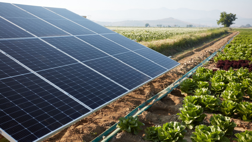 Solkraft: Sterk markedsvekst krever bedre reguleringer og ressurser